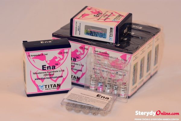 Ena (Testosterone Enanthate)