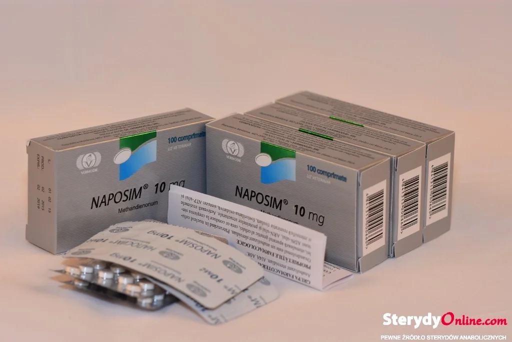 EU User Feedback: Bigman.to in the Spotlight