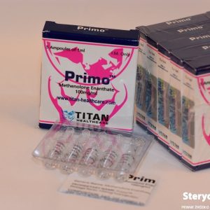 Galeria: Primo 3
