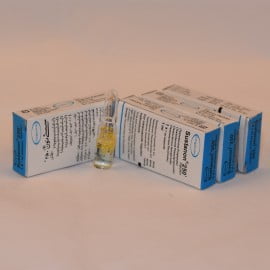 SUSTANON 250 SUSTA PAKISTAN