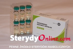 Susten-250 (Testosterone Mix)