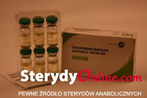 Testen-250 (Testosterone Enanthate)