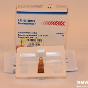 Testosterone Enanthate 2