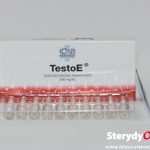 TestoE 200 mg IONS