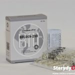 Bolden-250 (Boldenone Undecylenate) BM