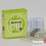Testen-250 (Testosterone Enanthate) BM